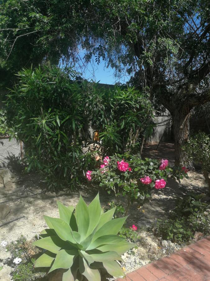 Finca San Diego, villa entera para ti Vallonga Exterior foto